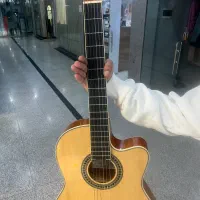 گیتار برندgrape