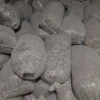 تفاله چغندر قند