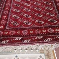 قالی|فرش|گنبد کاووس, |دیوار