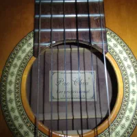 گیتار پائوچیاحرفه ای