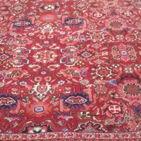 نیازمند کسی که قالی دار کند