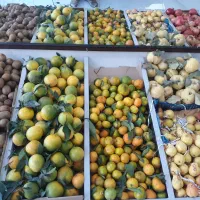 جذب نیروی کار|استخدام خدمات فروشگاه و رستوران|شاهرود, |دیوار