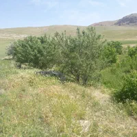 باغ و زمین|فروش زمین و ملک کلنگی|شاهین دژ, |دیوار