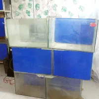 پایه اکواریوم ویترینی|ماهی|شهریار, کهنز|دیوار