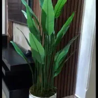 تولیدکننده درختچه مصنوعی وارداتی لمسی چرمی|گل مصنوعی|تهران, تهرانسر شمالی|دیوار