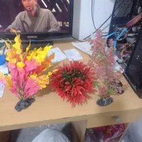 لوازم آکواریوم گیاه و صدف و صخره