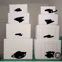 اکاسیف یخچالی