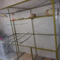 فروش قفس پرنده ترتمیز