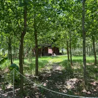 با شرایط عالی ونقدینگی اندک صاحب ویلا می‌شوی|فروش زمین و ملک کلنگی|تهران, عباس‌آباد|دیوار