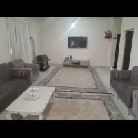 دو عدد فرش ۹ متری طلاکوب