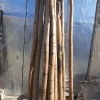 چوب درجه یک