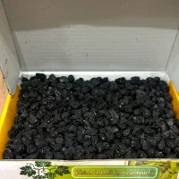 کشمش انگور شرابی بدون هسته