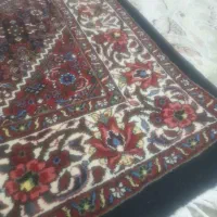 فرش زر نیم نخ مرینوس|فرش|زنجان, |دیوار