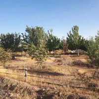 باغ شهر تلاش ۱۰۰۰متر