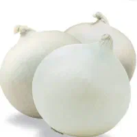 پوره .تفاله پیاز خشک شده و سبزی