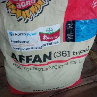 بذر آفتاب گردان