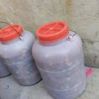 ترشی خانگی ترکیبی، کیلویی ۷۰ هزار تومان|خوردنی و آشامیدنی|مشهد, شهید شهریاری|دیوار