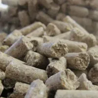 خوراک دام و طیور
