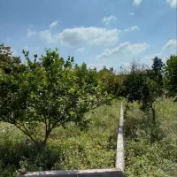 214-متر-زمین-الحاق-به-بافت-در-لوکیشنی-خوب
