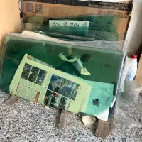 فروشگاه شیشه اتومبیل فاطمی یکتا|خدمات موتور و ماشین|اسلامشهر, شاطره|دیوار