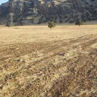 زمین کشاورزی|فروش دفتر صنعتی، کشاورزی، تجاری|ایذه, |دیوار