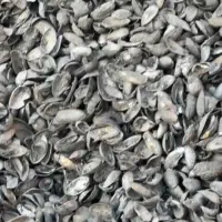 فروش کربن پوست پسته درجه ۱ صادراتی