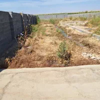 باغچه|فروش خانه و ویلا|اندیمشک, |دیوار