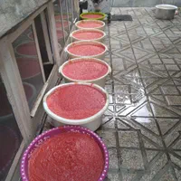 ابگیری گوجه سبزی خردکنی اب گیری گوجه ابغوره گیری|خدمات پیشه و مهارت|همدان, |دیوار