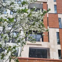 136 متری بلوار ارم تک واحدی کلید نخورده