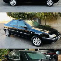 زانتیا خشک کلکسیونی