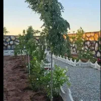 زمین ۲۰۰ متری برخیابان ۵۵  شهرک دادگستری