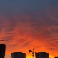 استخدام مشاور و منشی