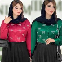 لباس مجلسی|لباس|خسروشاه, |دیوار