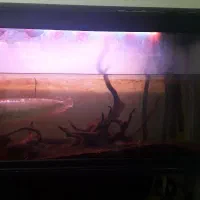 اکواریوم شرکتی درجه ۱