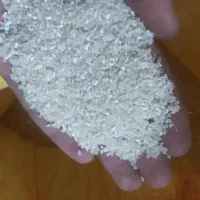 برنج دمسیاه