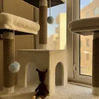 استند خواب و بازی