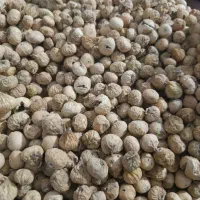 انجیر استهبان