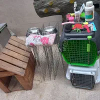 توله سوپر فلت اصل واکسن خورده شناسنامه دار|سگ|کهریزک, |دیوار