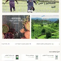طراحی انواع سایت