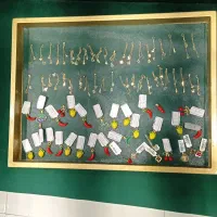 پلاک و آویز ترند