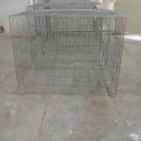 ۵۰تا قفس جفتکن