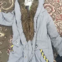 دو عدد پالتو در حد نو