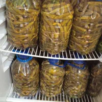 بوستان خیارشوری دادی ویملی