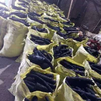 فروش زغال کبابی باغی و فروش کربن پسته خرید چوب