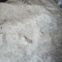 سنگ نمک سفید|لوازم جانبی حیوانات|گلپایگان, |دیوار