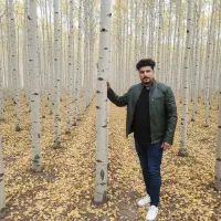 فقط خریداران امروز هدیه رایگان نــهال صــنوبر جوان