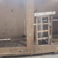 قفس مرغ و کفتر