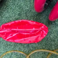 مقداری لوازم ورزشی یکجا فروشی|تجهیزات ورزشی|پرند, فاز ۳|دیوار