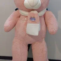 عروسک خرس تمیز