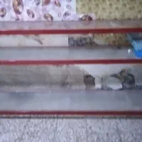 دو عدد ویترین دو طبقه